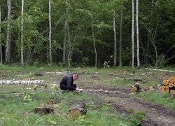 Лісове багатоборство 2013